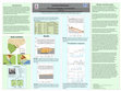 Research paper thumbnail of Isolated Wetlands - The Groundwater Connection