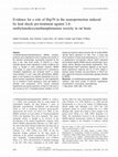 Research paper thumbnail of Evidence for a role of Hsp70 in the neuroprotection induced by heat shock pre-treatment against 3,4-methylenedioxymethamphetamine toxicity in rat brain