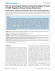 Research paper thumbnail of The Src Homology 2 Domain-Containing Adapter Protein B (SHB) Regulates Mouse Oocyte Maturation