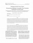 Research paper thumbnail of Selimpaşa Höyük Syrian Bottle: A New Contribution from İstanbul to Commercial Evidence between the Balkans and Mesopotamia