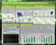 Research paper thumbnail of GPU-based maize plant analysis: accelerating CNN segmentation and voxel carving