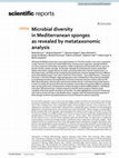 Research paper thumbnail of Microbial diversity in Mediterranean sponges as revealed by metataxonomic analysis