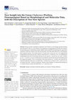 Research paper thumbnail of New Insight into the Genus Cladocroce (Porifera, Demospongiae) Based on Morphological and Molecular Data, with the Description of Two New Species