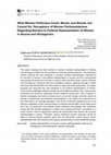 Research paper thumbnail of What Women Politicians Could, Would, and Should, but Cannot Do. Perceptions of Women Parliamentarians Regarding Barriers to Political Representation of Women in Bosnia and Herzegovina