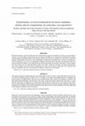 Research paper thumbnail of Teachers and their role in the formation of citizens: Discrepancies between understandings, practices and expectations