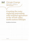 Research paper thumbnail of Counting the costs: replacing pastoralism with irrigated agriculture in the Awash valley, north-eastern Ethiopia