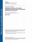 Research paper thumbnail of Identification of BiP as a CB1 Receptor-Interacting Protein That Fine-Tunes Cannabinoid Signaling in the Mouse Brain