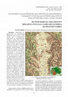 Research paper thumbnail of Istražuvanje na lokalitetot Vrbjanska Čuka kaj Slavej (Pelagonija) vo 2022 i 2023 godina / Research on the Vrbjanska Чука site at Slavej (Pelagonia) in 2022 and 2023