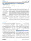 Research paper thumbnail of Bile resistance mechanisms in Lactobacillus and Bifidobacterium