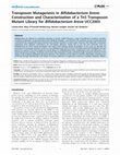 Research paper thumbnail of Transposon Mutagenesis in Bifidobacterium breve: Construction and Characterization of a Tn5 Transposon Mutant Library for Bifidobacterium breve UCC2003