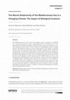 Research paper thumbnail of Mediterranean Identities - Environment, Society, Culture