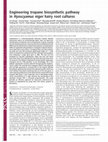 Research paper thumbnail of Engineering tropane biosynthetic pathway in <i>Hyoscyamus niger</i> hairy root cultures