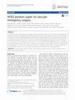 Research paper thumbnail of WSES position paper on vascular emergency surgery