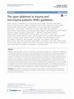 Research paper thumbnail of The open abdomen in trauma and non-trauma patients: WSES guidelines