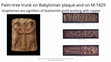 Palm tree trunk on Babylonian plaque and on M-1429 Cover Page