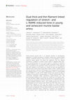 Research paper thumbnail of Dual thick and thin filament linked regulation of stretch- and L-NAME-induced tone in young and senescent murine basilar artery