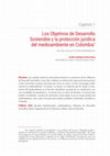 Research paper thumbnail of Capítulo 1. Los Objetivos de Desarrollo Sostenible y la protección jurídica del medioambiente en Colombia