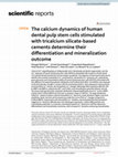 Research paper thumbnail of The calcium dynamics of human dental pulp stem cells stimulated with tricalcium silicate-based cements determine their differentiation and mineralization outcome