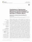 Research paper thumbnail of Contributions of Agroforestry Systems to Food Provisioning of Peasant Households: Conflicts and Synergies in Chiapas, Mexico