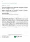 Research paper thumbnail of Resilience, Rivet Effect and the Changing Geography of Production Chains in the Turkish Automotive Industry