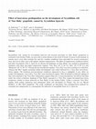 Research paper thumbnail of Effect of heat-stress predisposition on the development of Scytalidium wilt of ‚Star Ruby’ grapefruit, caused by Scytalidium lignicola