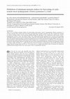 Research paper thumbnail of Definition of minimum maturity indices for harvesting of early-season sweet pomegranate (<i>Punica granatum</i>L.) fruit