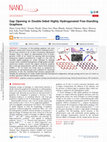 Gap Opening in Double-Sided Highly Hydrogenated Free-Standing Graphene Cover Page