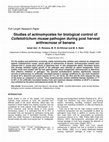 Research paper thumbnail of Studies of actinomycetes for biological control of Colletotrichum musae pathogen during post harvest anthracnose of banana