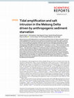 Tidal amplification and salt intrusion in the Mekong Delta driven by anthropogenic sediment starvation Cover Page