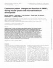 Research paper thumbnail of Expression pattern changes and function of RANKL during mouse lymph node microarchitecture development