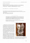 Research paper thumbnail of Lessons from an historical museum of anatomical pathology: thoraco-abdominopagus fetus