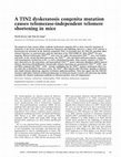 Research paper thumbnail of Faculty of 1000 evaluation for A TIN2 dyskeratosis congenita mutation causes telomerase-independent telomere shortening in mice