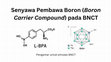 Senyawa Pembawa Boron (Boron Carrier Compound) pada BNCT Cover Page