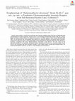 Research paper thumbnail of Ecophysiology of “ <i>Halarsenatibacter silvermanii</i> ” Strain SLAS-1 <sup>T</sup> , gen. nov., sp. nov., a Facultative Chemoautotrophic Arsenate Respirer from Salt-Saturated Searles Lake, California