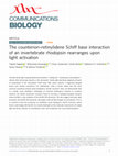 Research paper thumbnail of The counterion–retinylidene Schiff base interaction of an invertebrate rhodopsin rearranges upon light activation