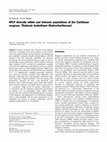 Research paper thumbnail of AFLP diversity within and between populations of the Caribbean seagrass Thalassia testudinum (Hydrocharitaceae)