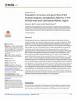 Research paper thumbnail of Population structure and gene flow of the tropical seagrass, Syringodium filiforme, in the Florida Keys and subtropical Atlantic region