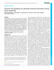 Research paper thumbnail of Dynamic Hh signaling can generate temporal information during tissue patterning