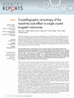 Research paper thumbnail of Crystallographic anisotropy of the resistivity size effect in single crystal tungsten nanowires