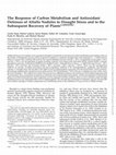 Research paper thumbnail of The Response of Carbon Metabolism and Antioxidant Defenses of Alfalfa Nodules to Drought Stress and to the Subsequent Recovery of Plants