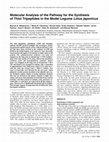 Research paper thumbnail of Molecular Analysis of the Pathway for the Synthesis of Thiol Tripeptides in the Model Legume Lotus japonicus