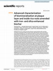 Research paper thumbnail of Advanced characterization of biomineralization at plaque layer and inside rice roots amended with iron- and silica-enhanced biochar