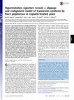 Hypermutation signature reveals a slippage and realignment model of translesion synthesis by Rev3 polymerase in cisplatin-treated yeast Cover Page