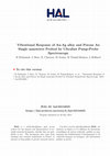 Research paper thumbnail of Vibrational response of Au-Ag alloy and porous Au single nanowires probed by ultrafast pump-probe spectroscopy