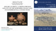 ZINCIRLI (TURKEY): A MIDDLE BRONZE AGE CITY OF THE NORTHERN LEVANT AND ITS INTERREGIONAL CONNECTIONS Cover Page