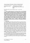 Research paper thumbnail of Characterization of Strawberry Cultivars in Southern Brazil