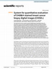 Research paper thumbnail of System for quantitative evaluation of DAB&H-stained breast cancer biopsy digital images (CHISEL)