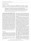 Research paper thumbnail of mTORC1 is required for expression of LRPPRC and cytochrome-c oxidase but not HIF-1α in Leigh syndrome French Canadian type patient fibroblasts