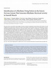 Research paper thumbnail of Identification of a Rhythmic Firing Pattern in the Enteric Nervous System That Generates Rhythmic Electrical Activity in Smooth Muscle