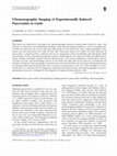 Research paper thumbnail of Ultrasonographic Imaging of Experimentally Induced Pancreatitis in Cattle